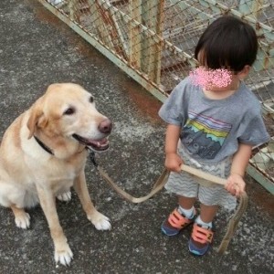 卒業犬『すずらんちゃん』からお便りが来ました。