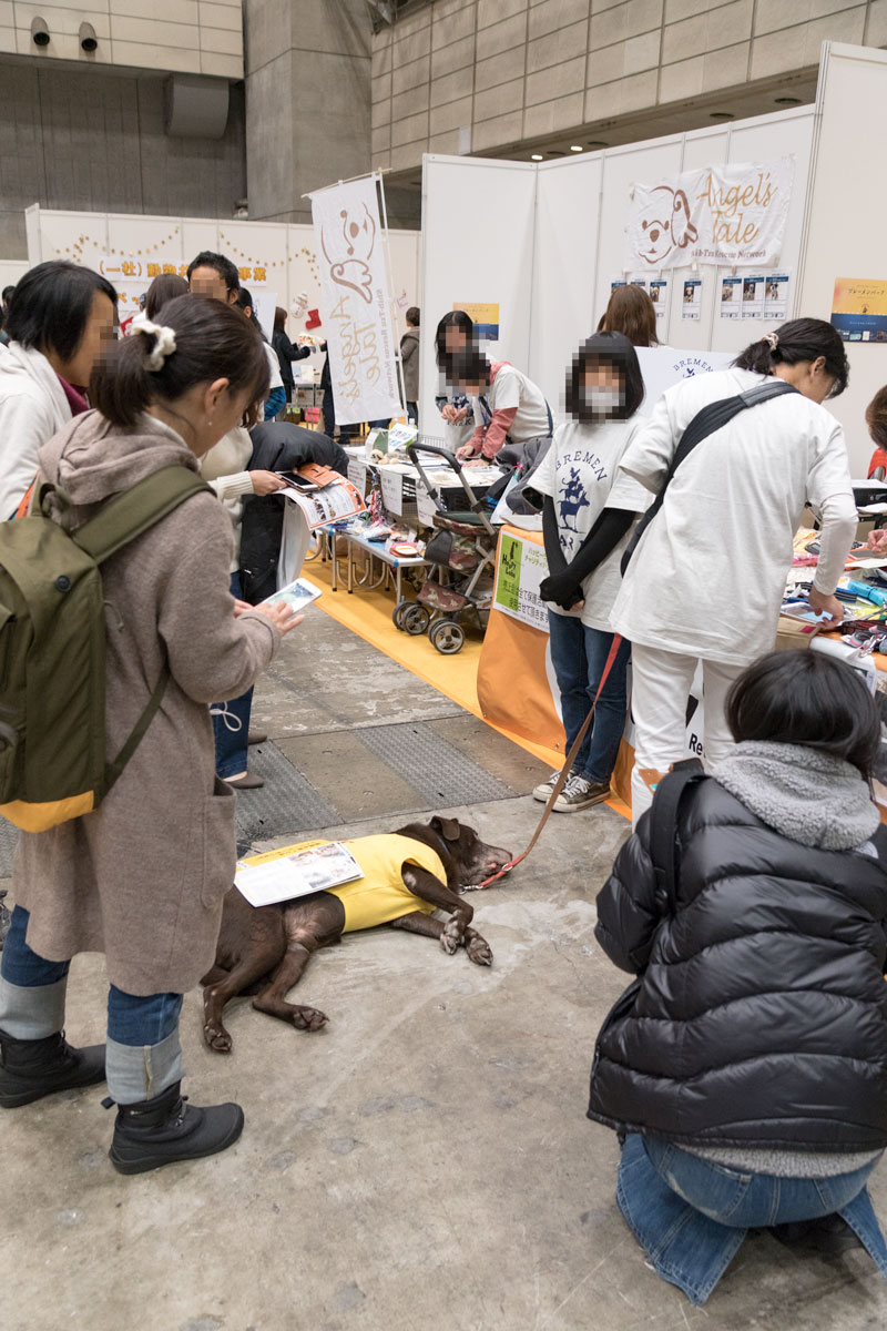11月19日ブレーメンパークに参加しました。