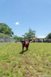 5/20ふれあい会2018フォトレポート