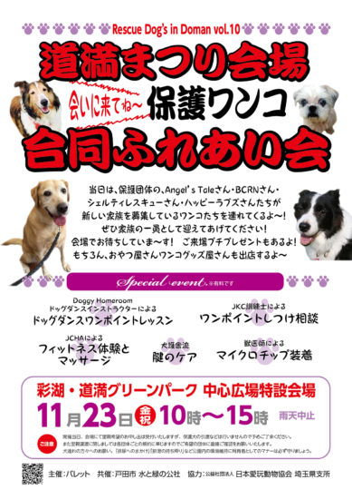 11/23(祝)「道満まつり会場保護わんこ合同ふれあい会」のご案内