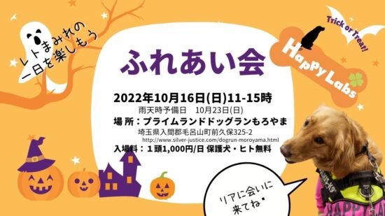 ハピラブふれあい会2022秋のご案内