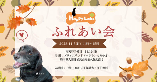 ハピラブふれあい会2023秋のご案内