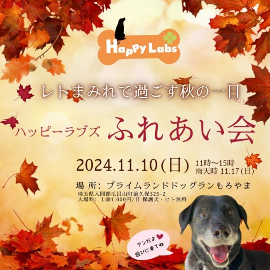 ハピラブふれあい会2024秋のご案内