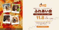 2026秋ふれあい会