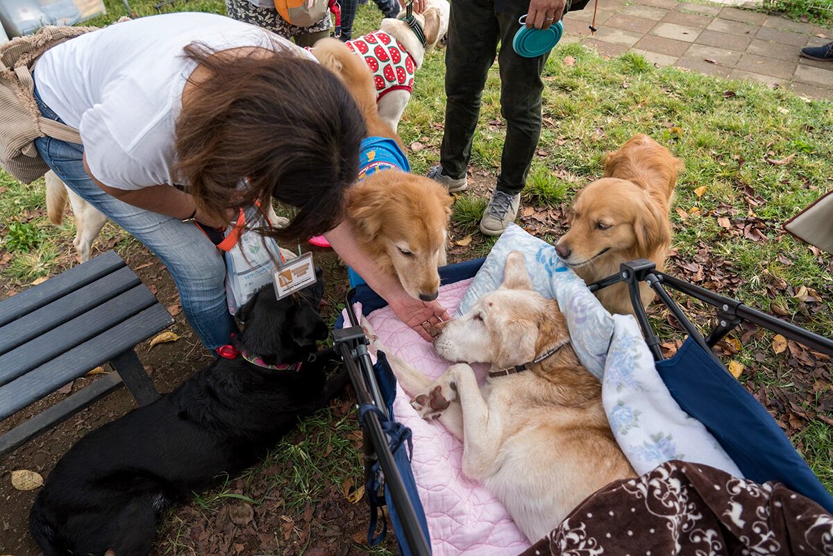 里親さんと卒業犬