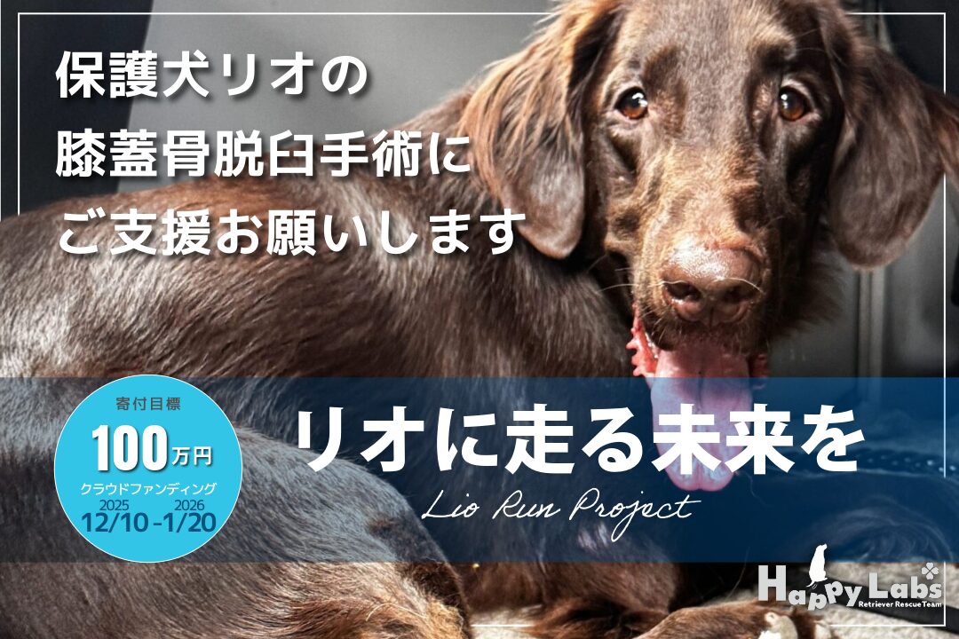 リオ