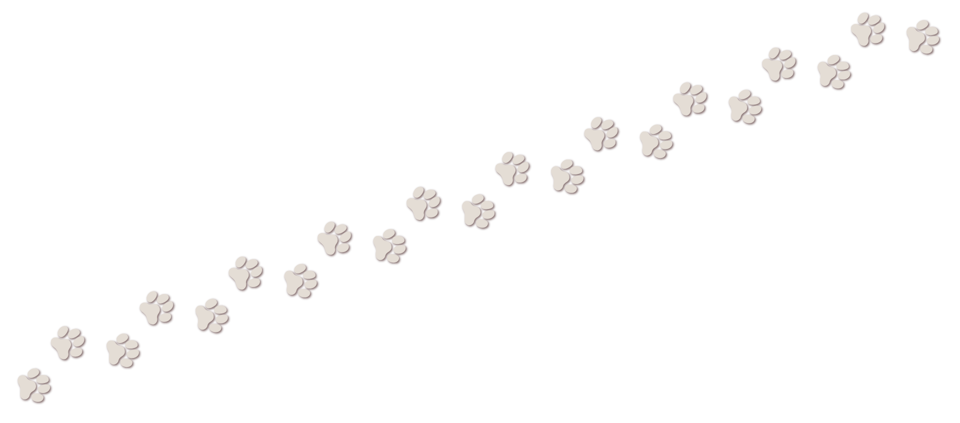 犬の足跡