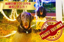 【Lio Run Project】目標額達成しました！