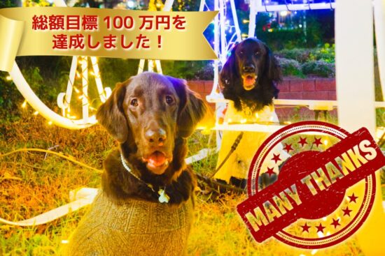 【Lio Run Project】目標額達成しました！