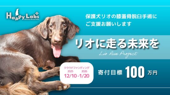 Lio Run Project 〜リオに走る未来を〜始動
