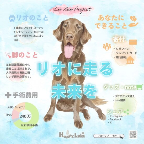 Lio Run Project 〜リオに走る未来を〜始動