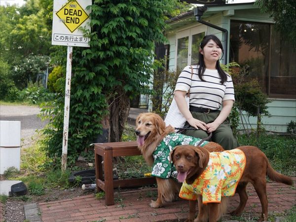 散歩の様子
