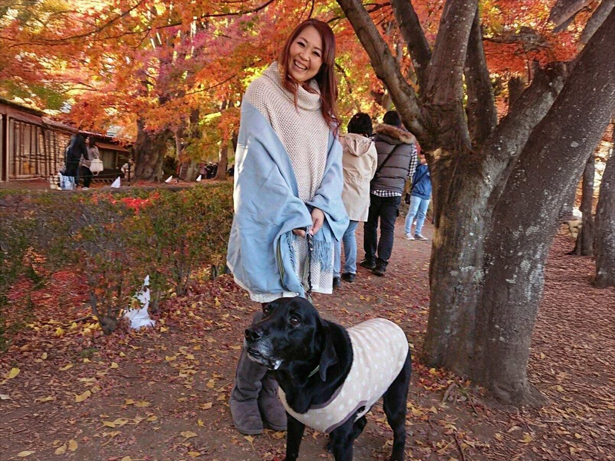 先住犬のわんさんと