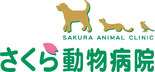 さくら動物病院