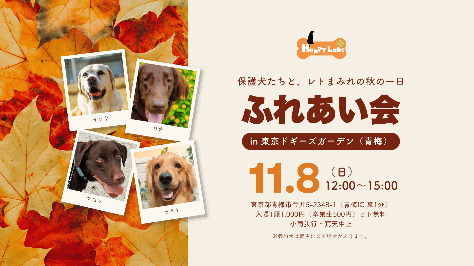 ハピラブ2026秋のふれあい会のご案内